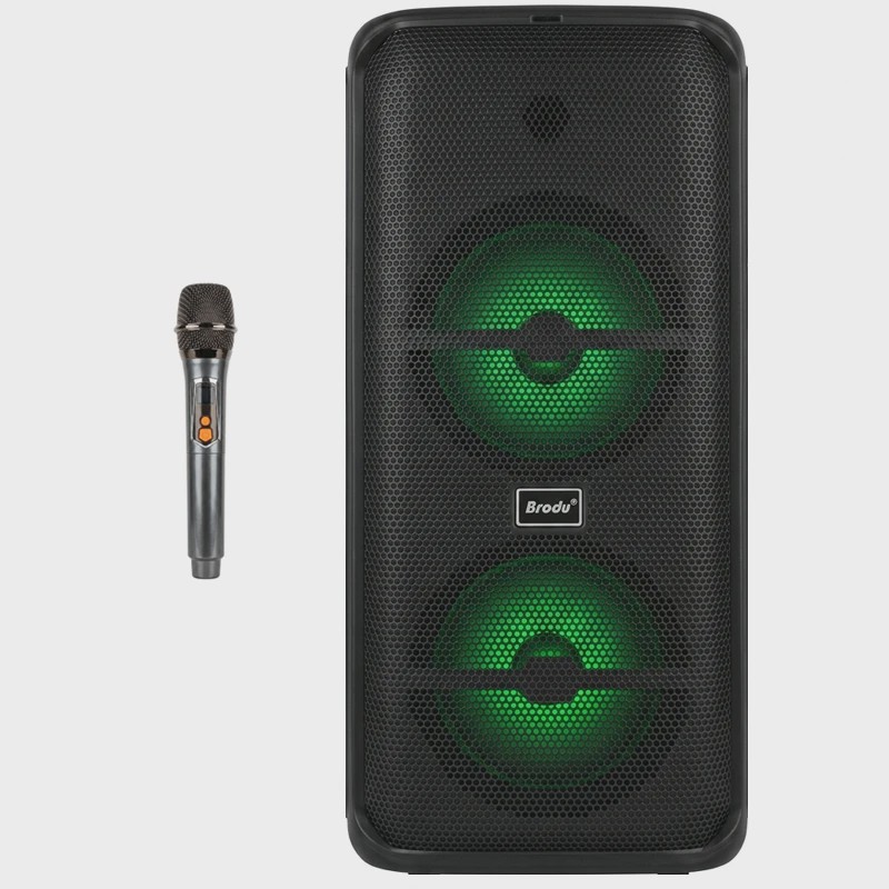 اسپیکر بلوتوثی قابل حمل برودو مدل BTS-2225